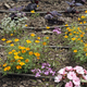 Illustration for article titled These Systems Let You Monitor Your Garden Without Setting Foot Outside